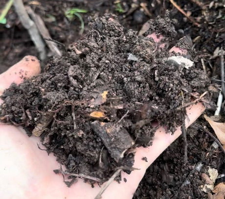 Soil Health