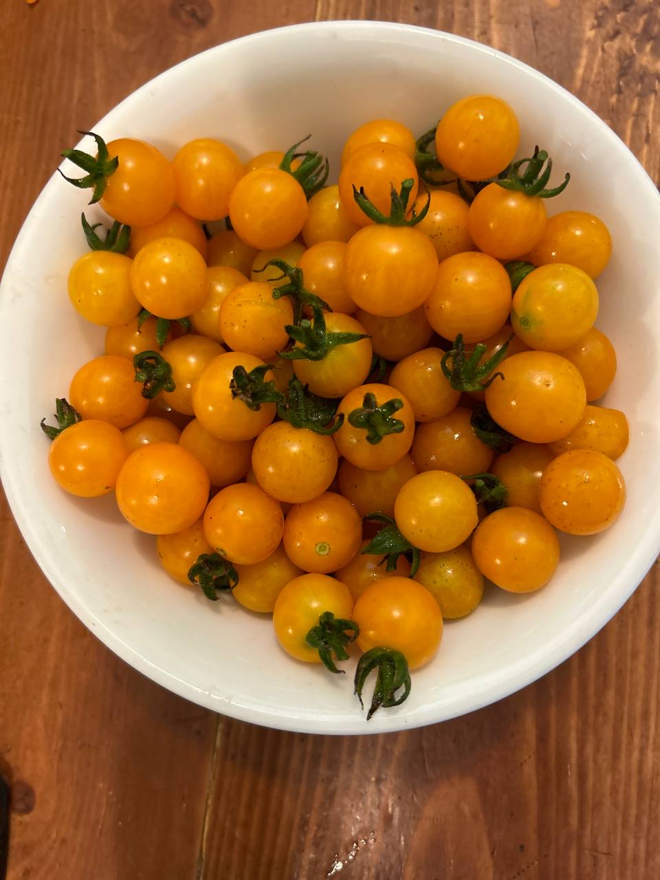 Inglehart Yellow Cherry Tomato