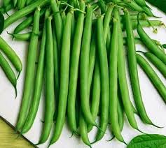 Slenderette Bush Bean