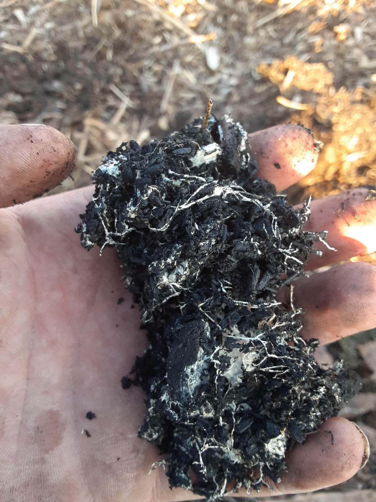 Black Gold Biochar Flakes