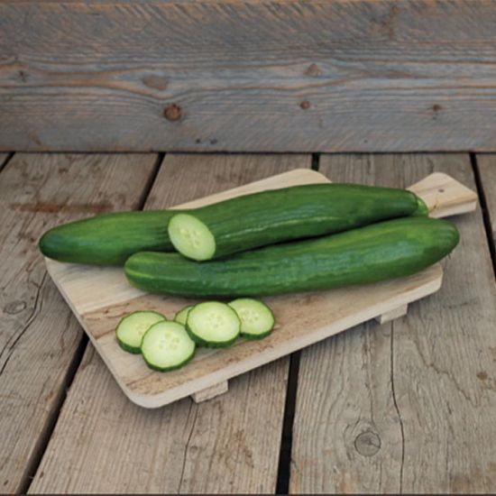 English Telegraph Cucumber