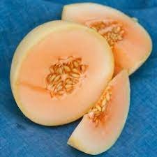 Orange Flesh Honeydew