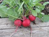 Radish Mix