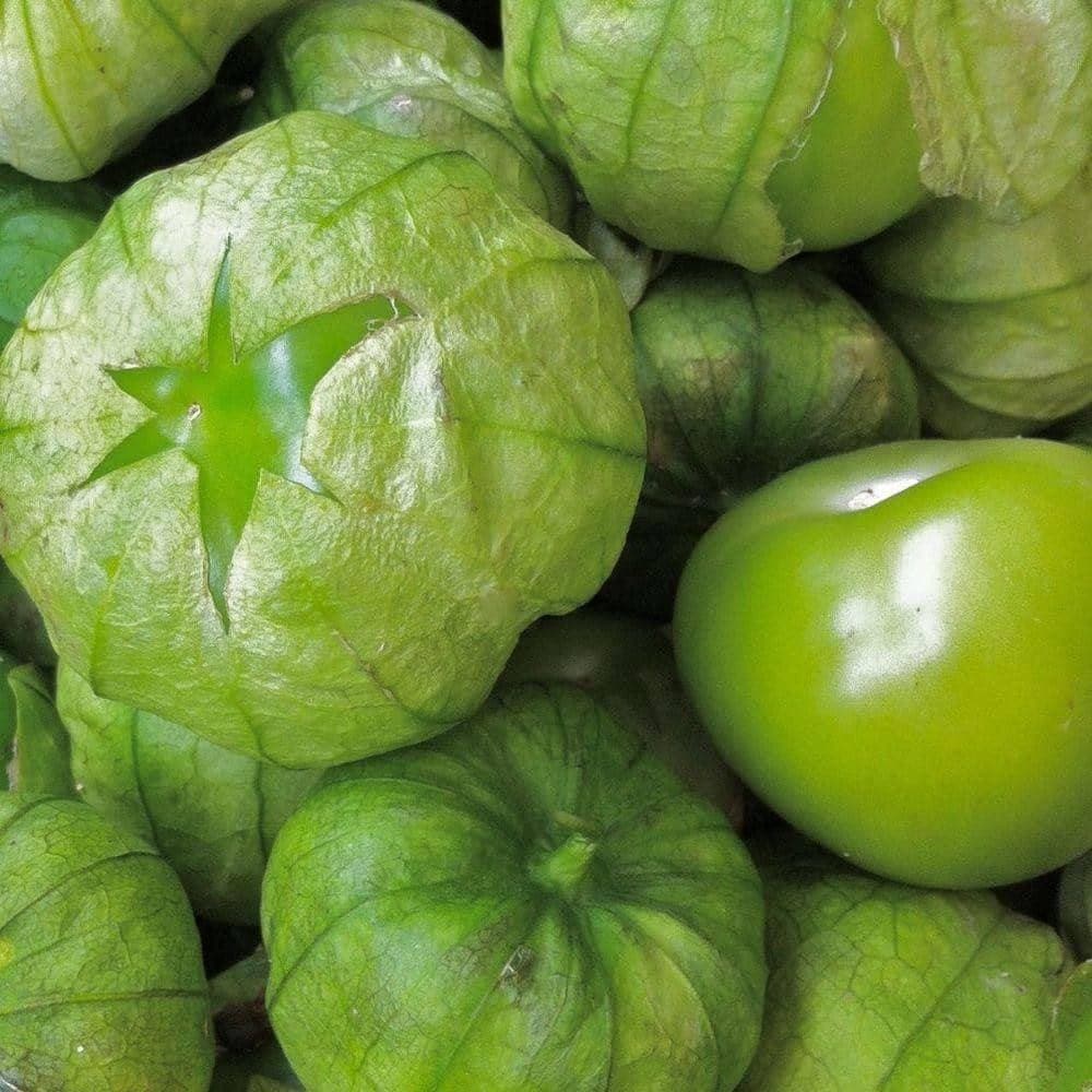 Grande Rio Verde Tomatillo