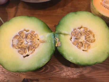 Haogen Melon