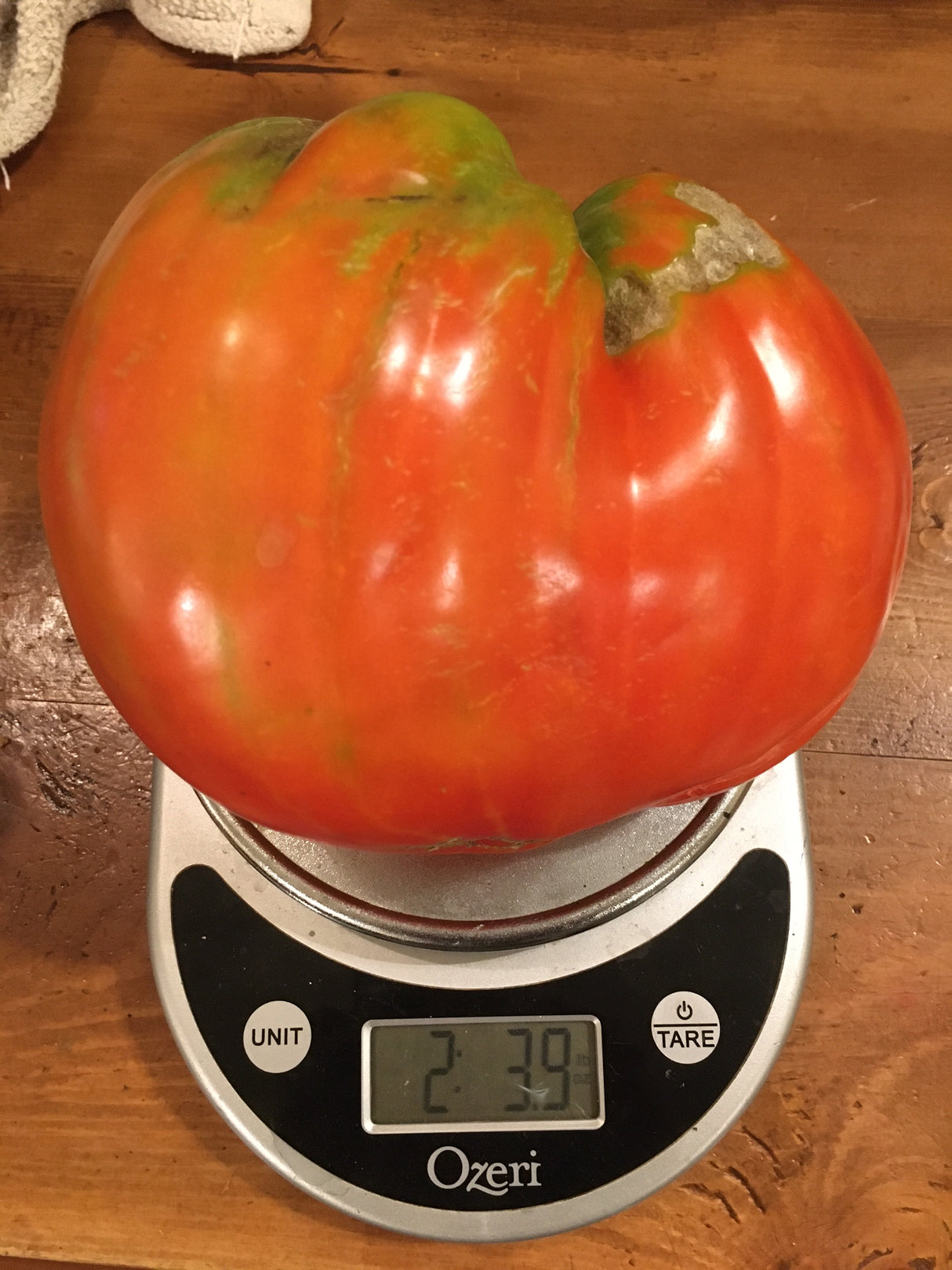 Jerusalem Tomato