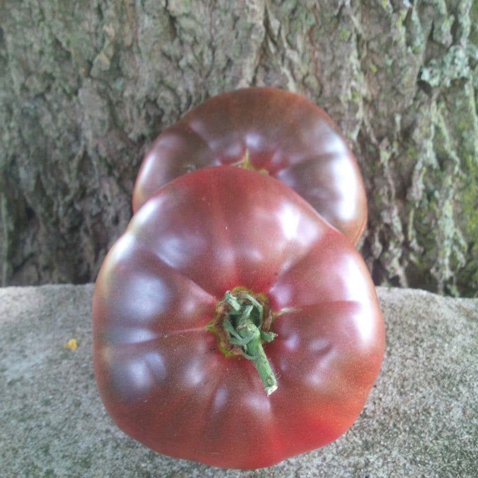 Owen's Purple Tomato