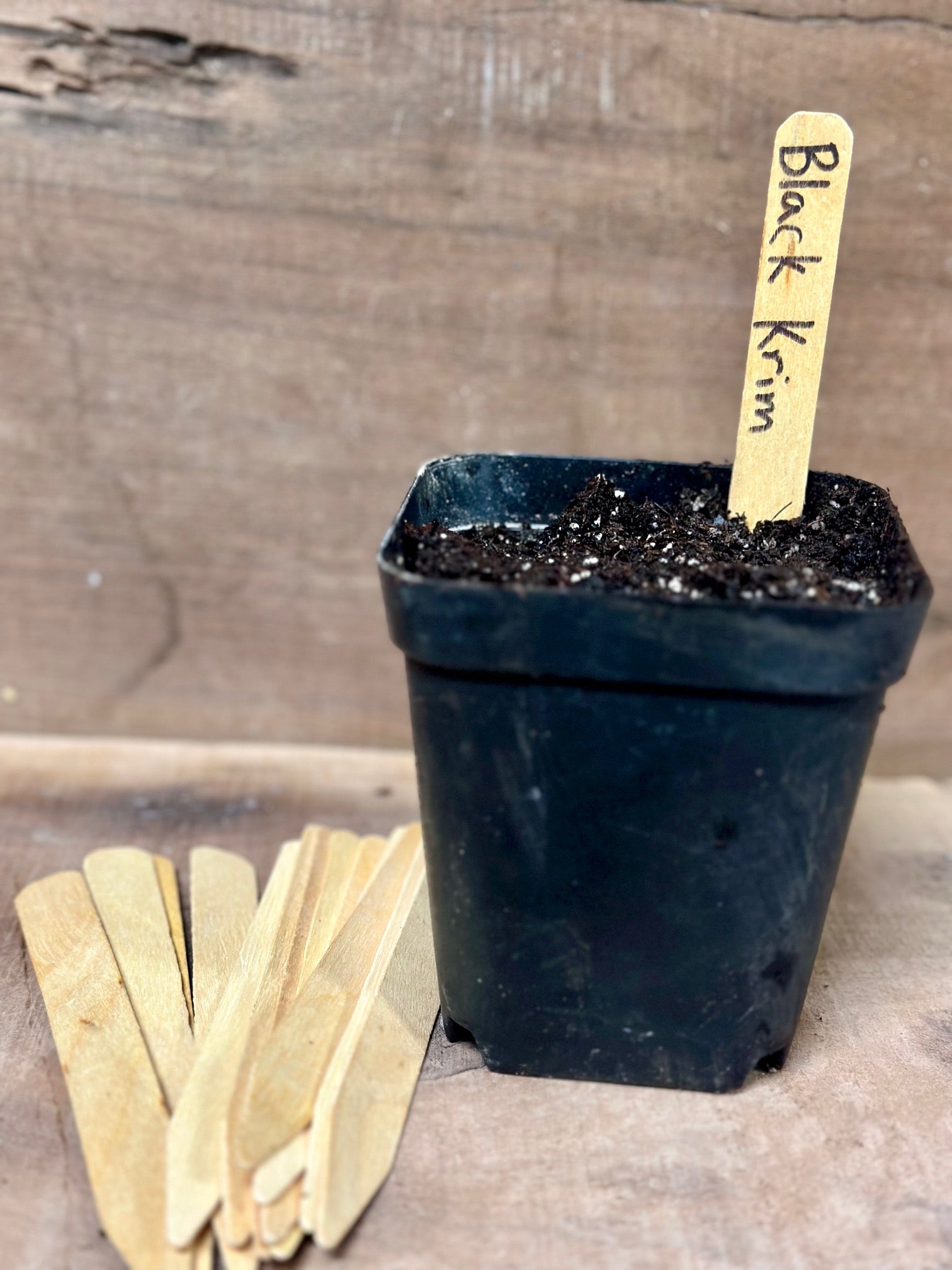 Wooden Plant Labels 6