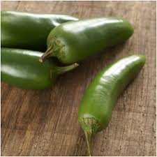 TAM jalapeno Pepper