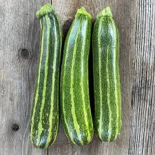 Cocozelle Summer Squash