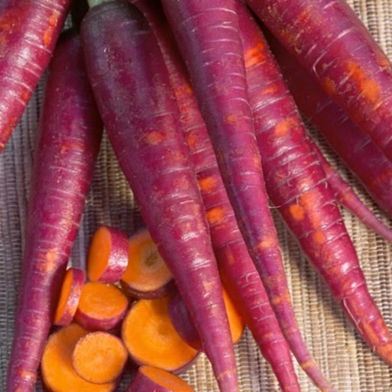Cosmic Purple Carrot - Organic