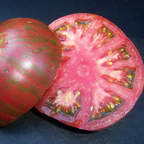 Pink Berkley Tie Dye Tomato - Organic