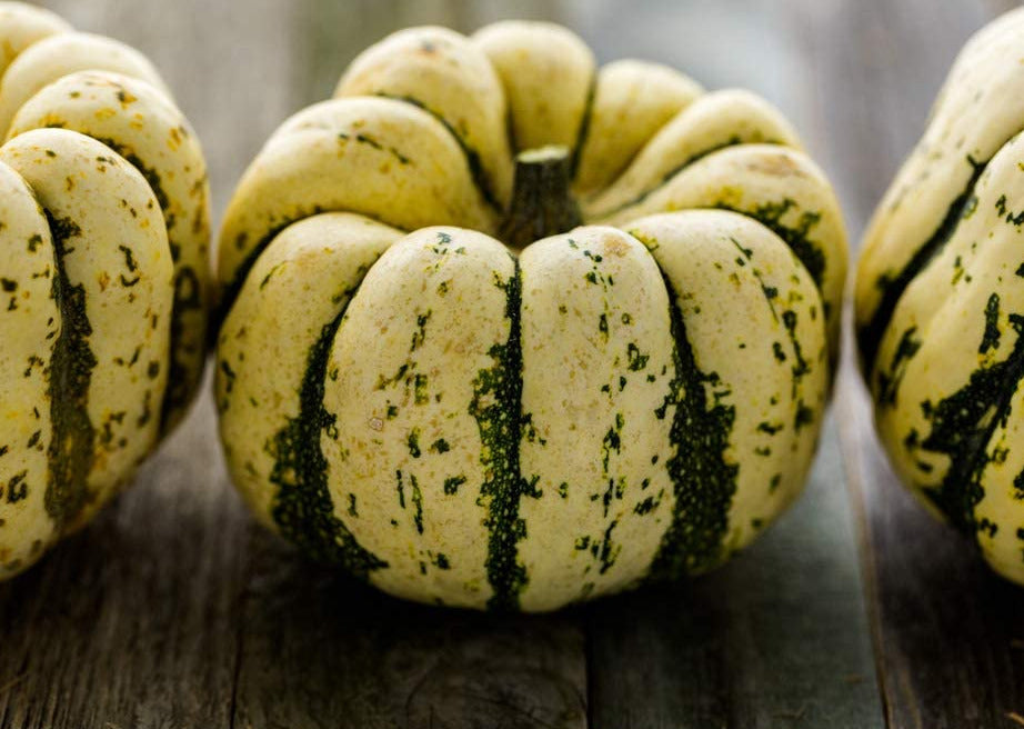 Sweet Dumpling Winter Squash