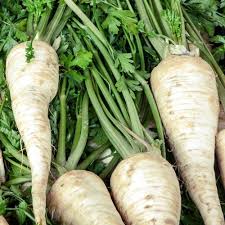 All American Parsnip