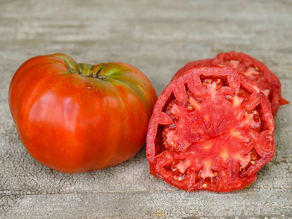 Beefsteak Tomato