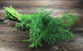 Bouquet Dill - Organic