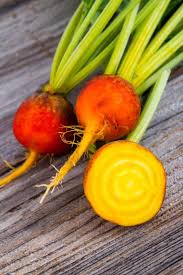 Golden Detroit Beet