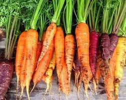 Rainbow Mix Carrot - Organic