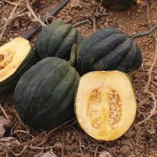 Table Queen Acorn Squash - Organic