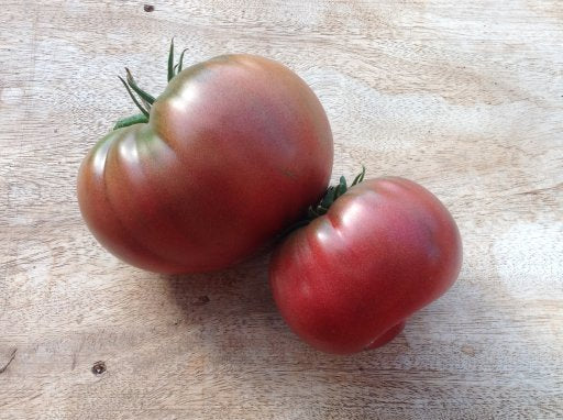 Black Bear Tomato