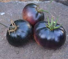 Black Beauty Tomato