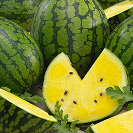 Crimson Sweet Yellow Watermelon - Organic