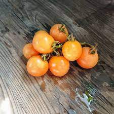 Dwarf Sunny’s Pear Tomato