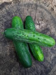 Marketmore 76 Cucumber - Organic