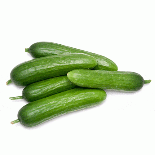 Muncher Cucumber - Organic