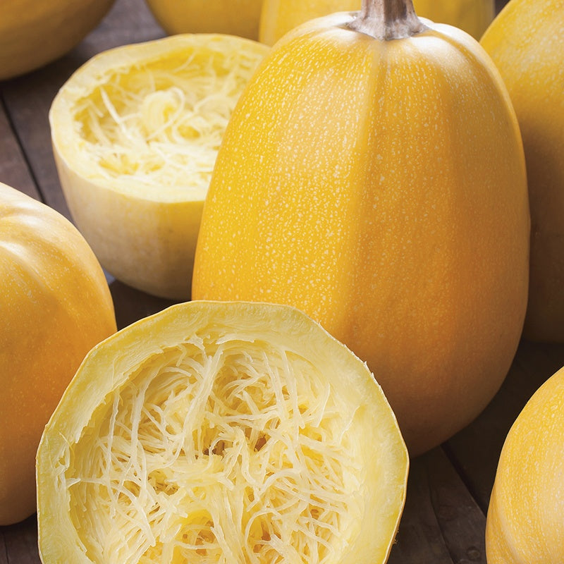 Spaghetti Squash - Organic