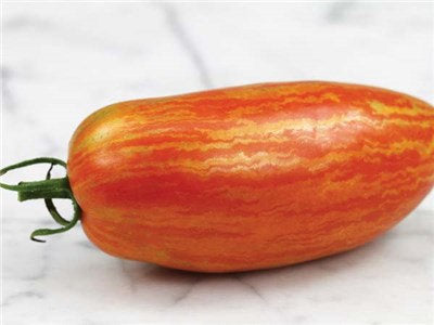 Striped Roma Tomato