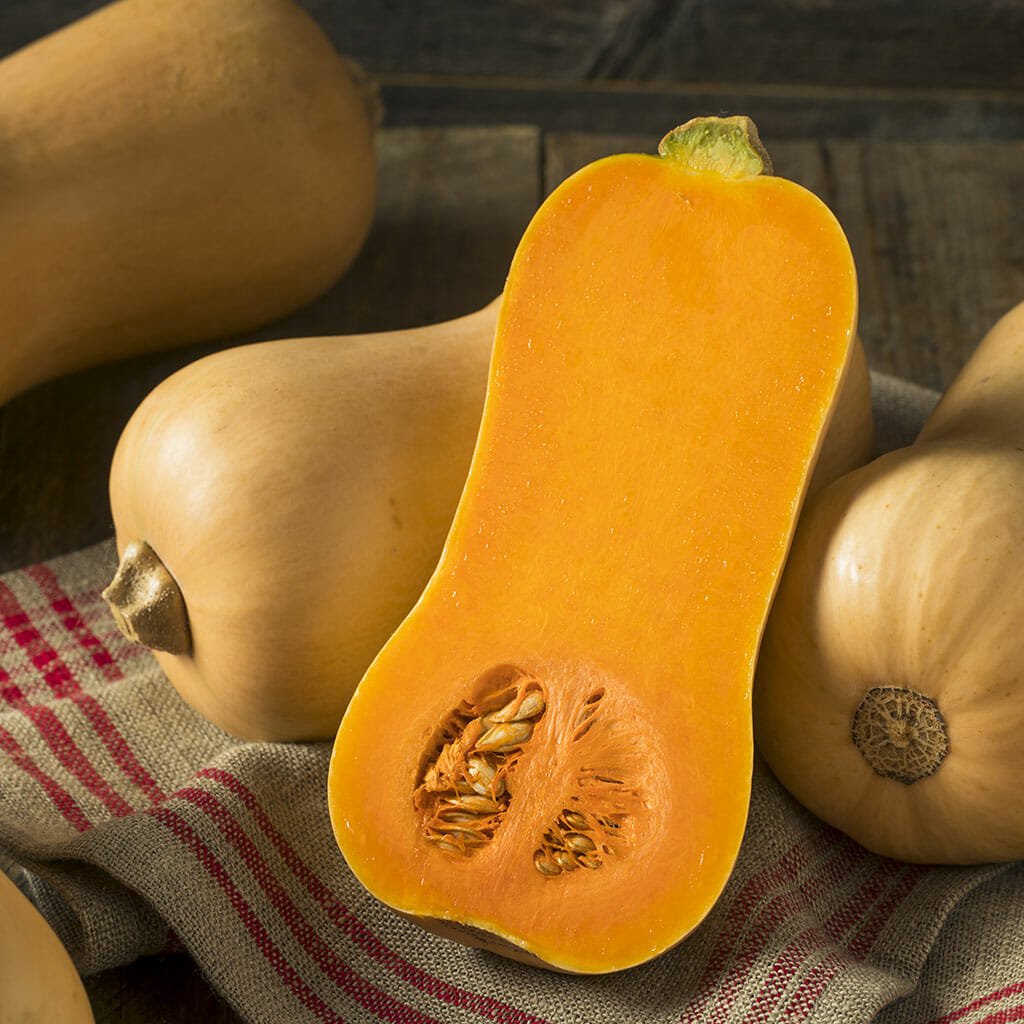 Waltham Butternut Squash - Organic